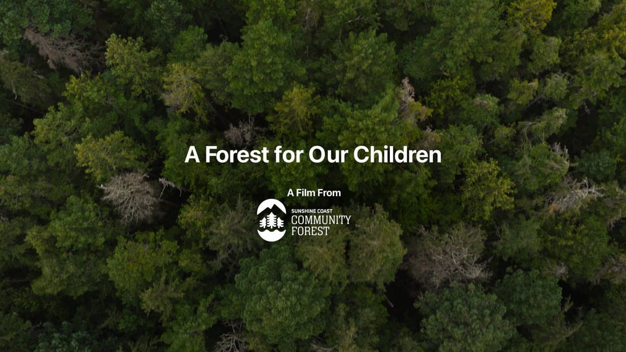 A Forest for Our Children