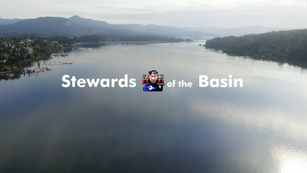 Stewards of the Basin