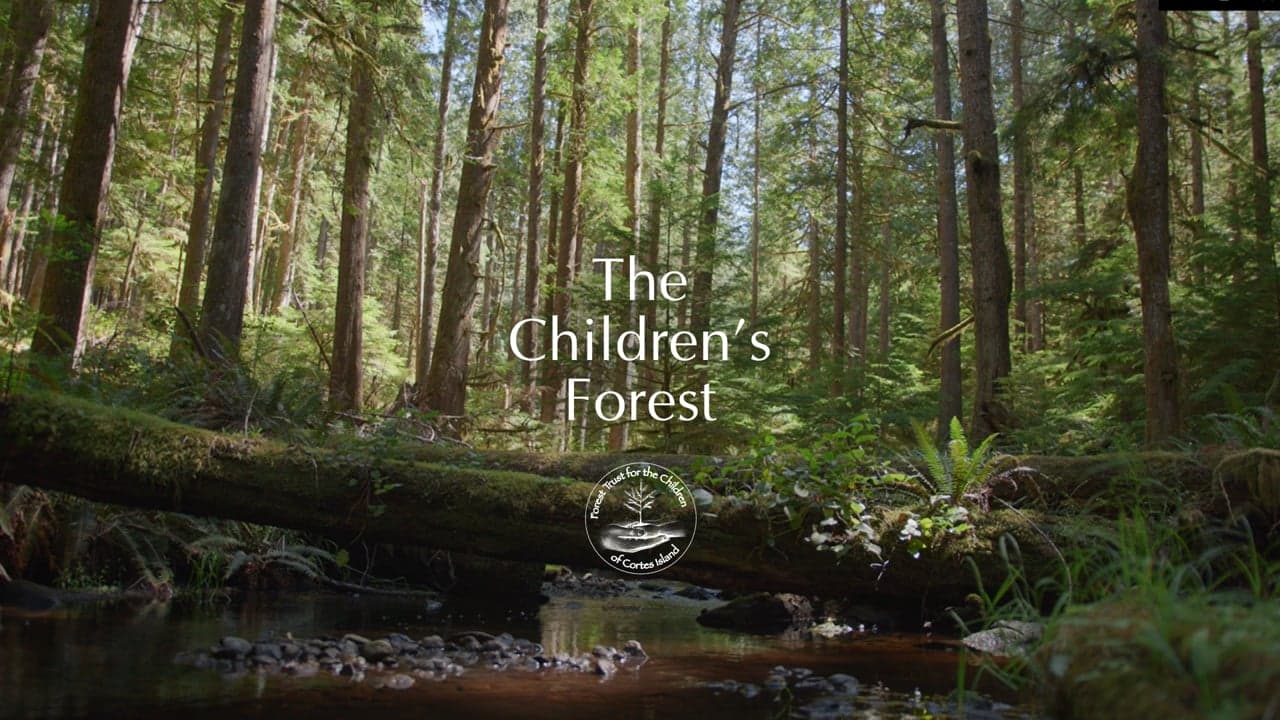 The Children's Forest