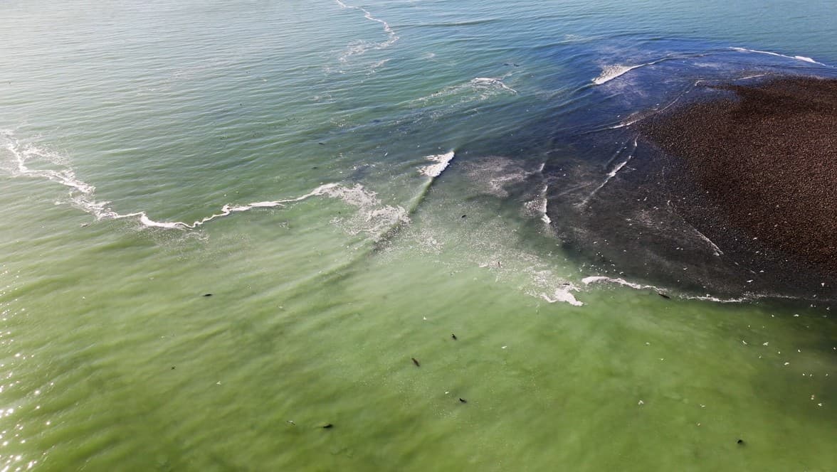 Olam Films — Vancouver Island